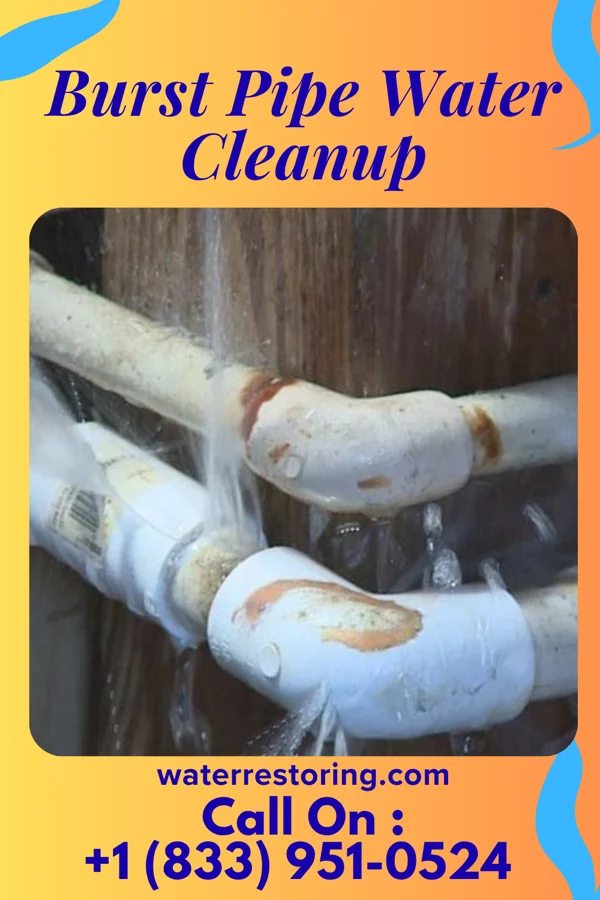 Burst Pipe Water Cleanup in Calumet, MN